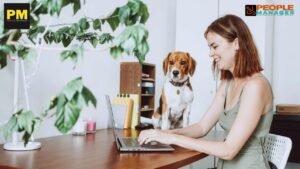 The possibility to work in hybrid models