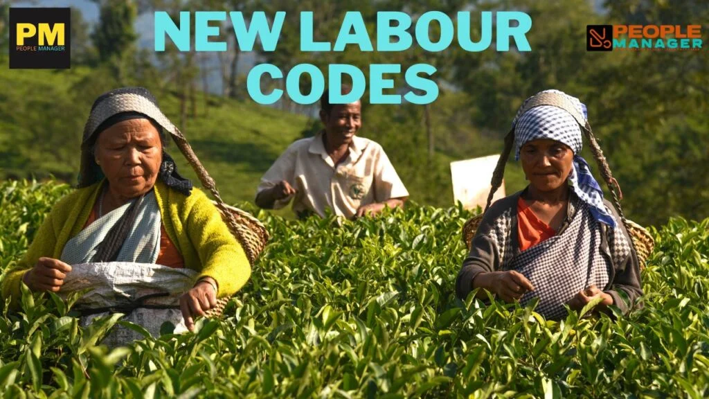 New labour laws