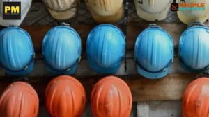 Blue-Collar Workers Want Fair Pay, Physical Safety, and Psychological Well-Being: A Survey Report