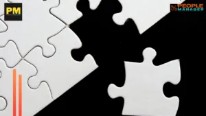 Driving Innovation Through Inclusive and Transparent Workplaces: The Power of the Right Fit