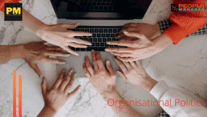 Organizational Politics: Dynamics, Drivers, and the Cost of Influence