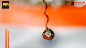 Policy Ambition, Budget Priorities, and Implementation Capacity in India