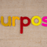 The Rise of Purpose Driven Workplaces and What Employees Expect Today