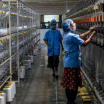 Managing India’s Blue-Collar Workforce: HR, Compliance, Leadership, and the Future of Facilities Management