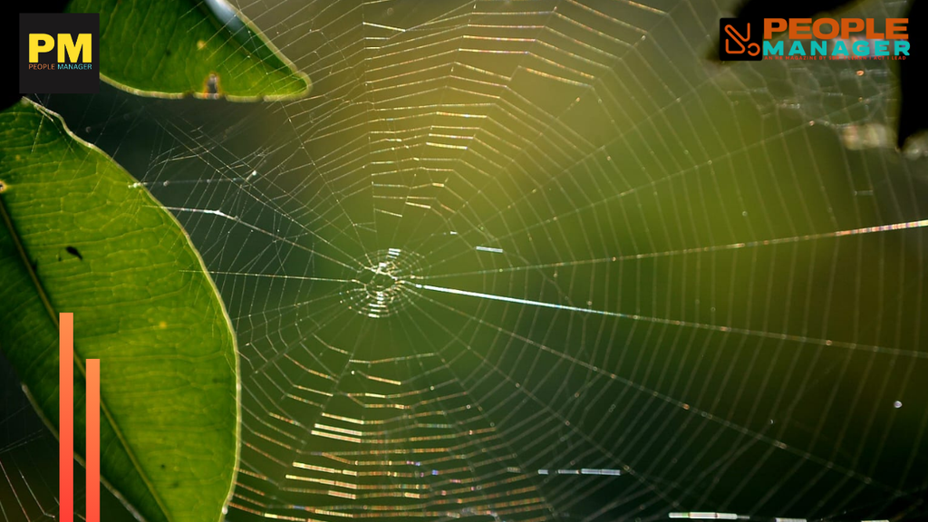 The Art of Relational Architecture: Scaling Your Social Network